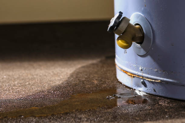 Best Flood restoration services  in Elgin, OK