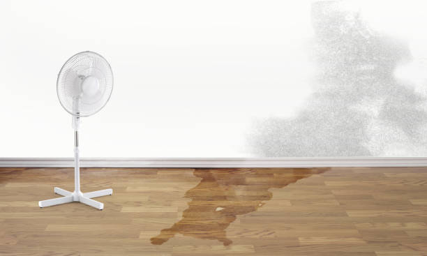 Water damage restoration insurance claims in OK