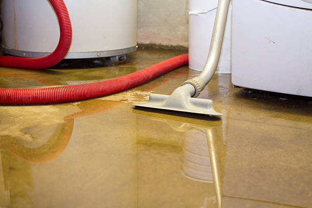 Best Carpet water damage restoration  in Elgin, OK