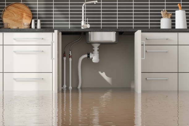 Best Mold removal after water damage  in Elgin, OK