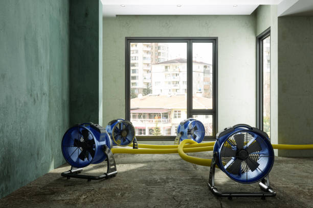 Best Commercial water damage restoration  in Elgin, OK